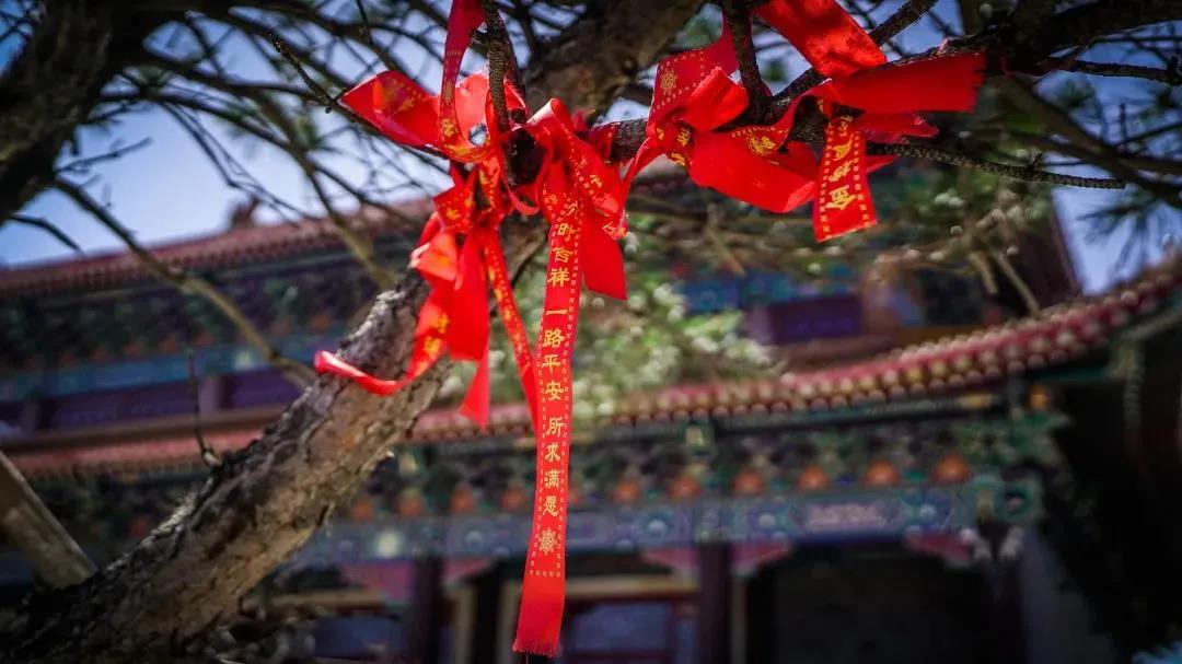 ����ѧ���ˣ���ô���߱��ˣ�