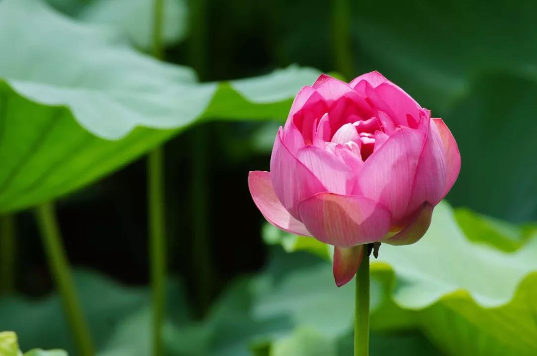 ����������̴�ʦ˵�������ľ������д����棡