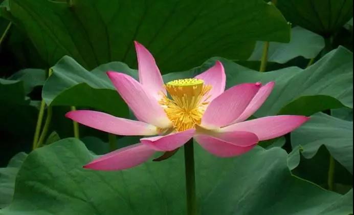 ��Ϊʲô�������ֵĿ��գ�