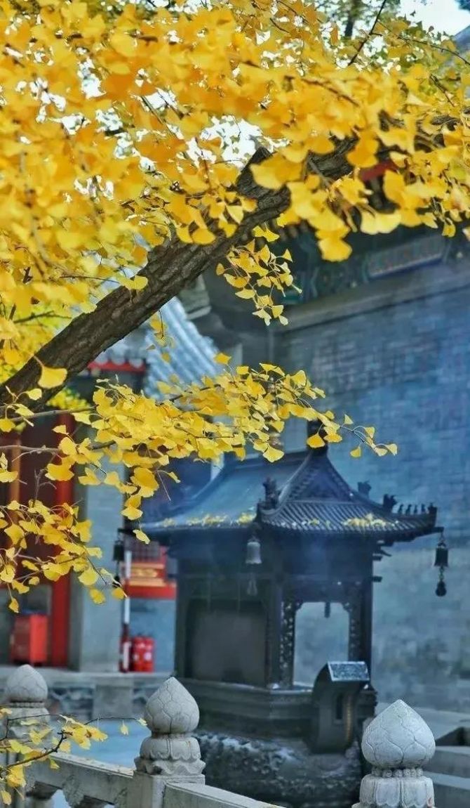 禅修能从内在彻底转化一个人 禅修能从内在彻底转化一个人