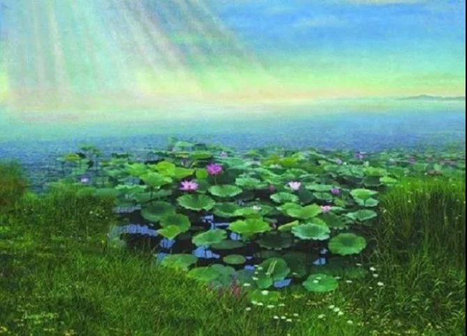 ���������غ���--��Ź��´�������������