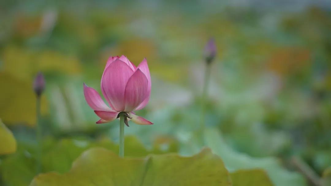 ���������غ���--��Ź��´�������������