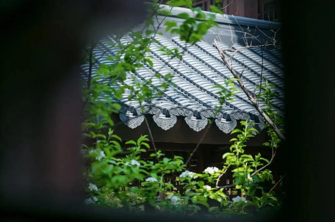 ����ͨ��Ϊʲô�ֲ�����ҵ������