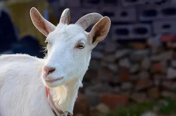 ����֮�ң��������죡���ڼ�������ɱ����