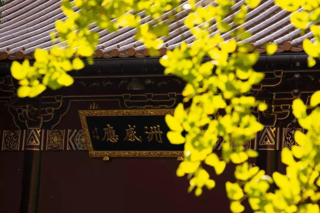 净土宗不能跟圣道门做切割 净土宗不能跟圣道门做切割