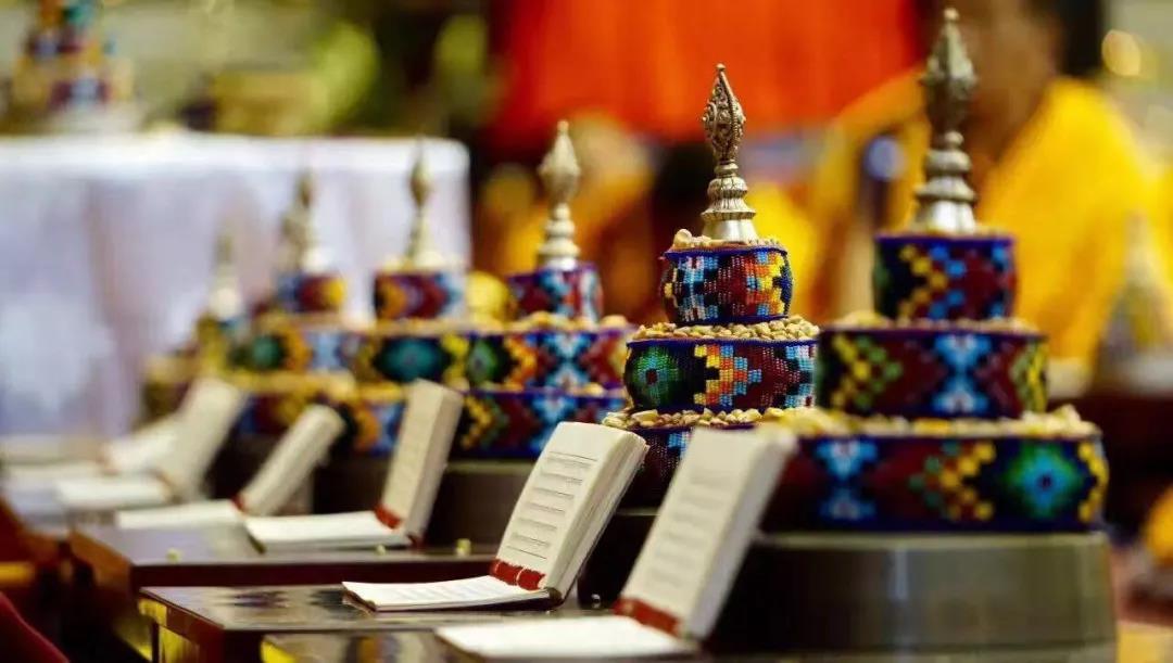 ��������������������Ӧ����������