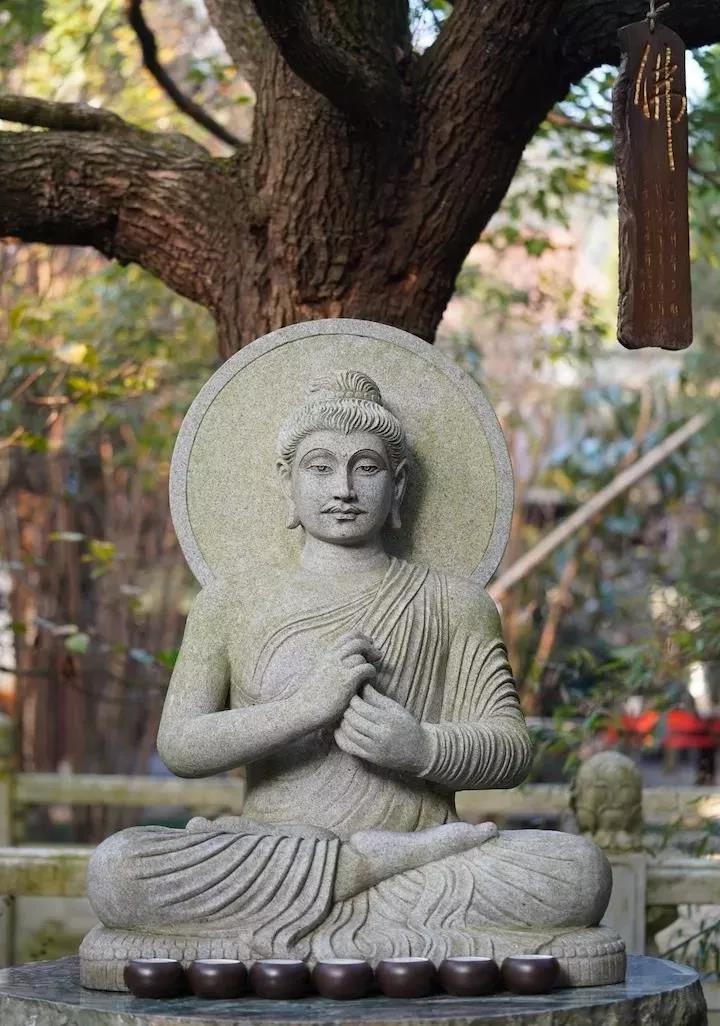 修净土法门不可走极端 修净土法门不可走极端