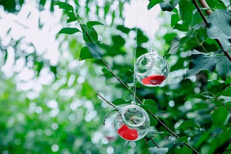 ��Ϊ���������������Ҽ��������ĵĴ�