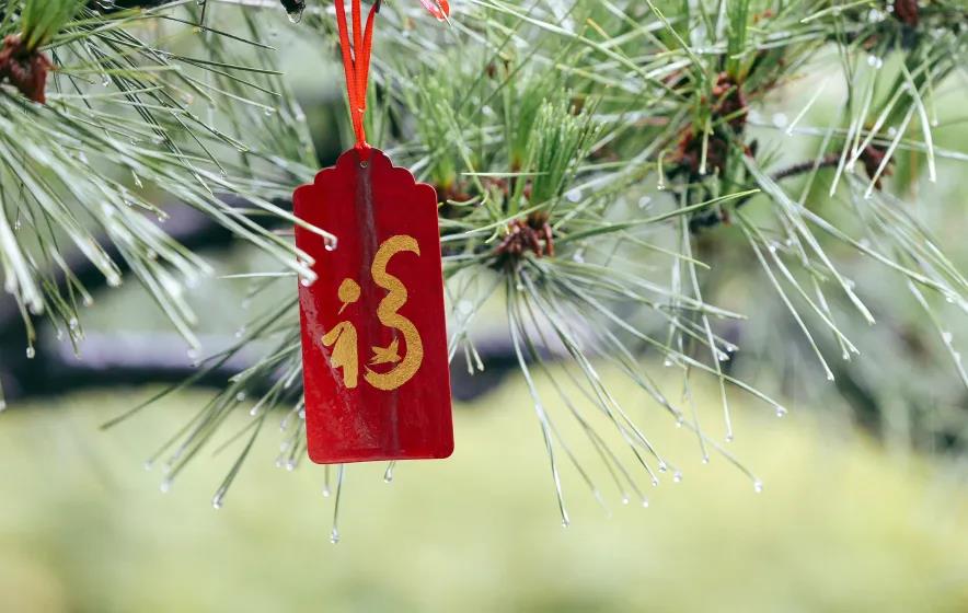 ��˵�������ע����������������ı�������������