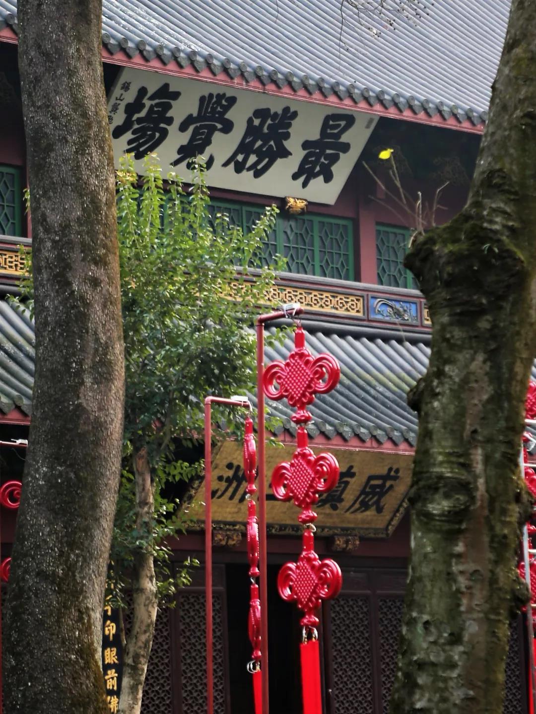 �������꣬Ըÿλ����Ӷ�����������ʤ���ģ�