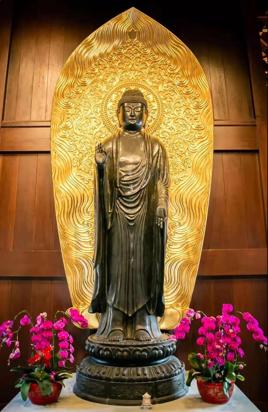 �´�������Щ����ã���ʵ�õ�����ָ��