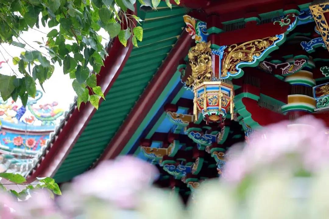 �˿���̰���ģ���������ϰ����