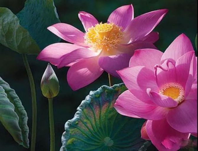 ���߱ʲƸ���ӵ��һ�ʾ�������Ӯ�ң�