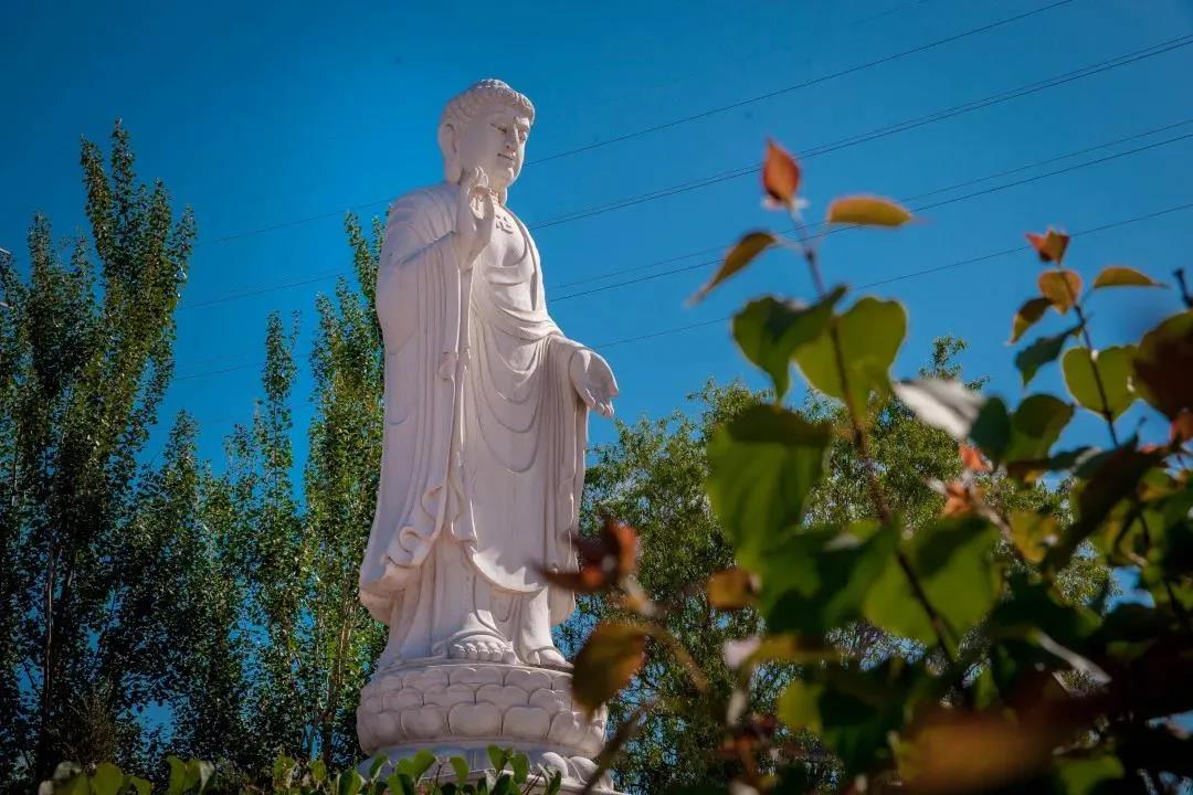 元照律师由轻谤净土,转为专志西方的心路历程 元照律师由轻谤净土,转为专志西方的心路历程