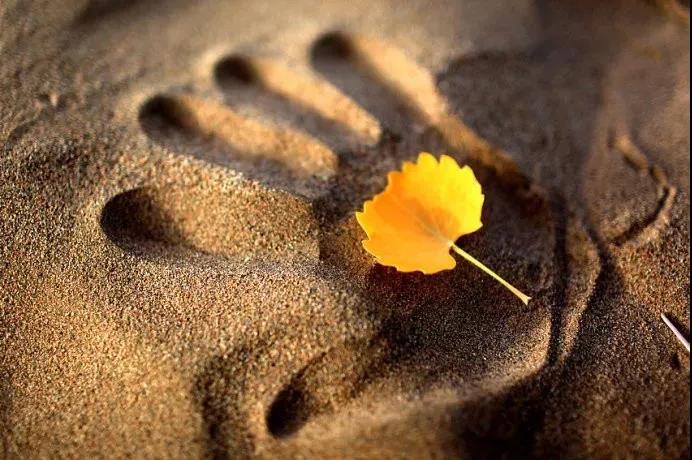 ��������Ϊ���ֱ���������ֻ�