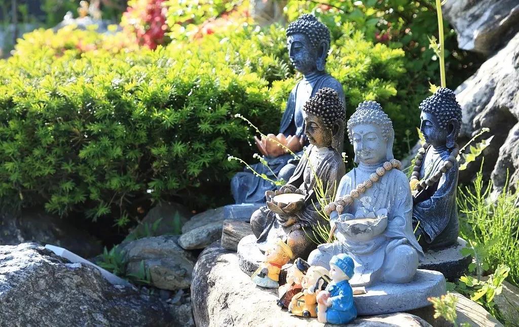 ��������Ϊ���ֱ���������ֻ�