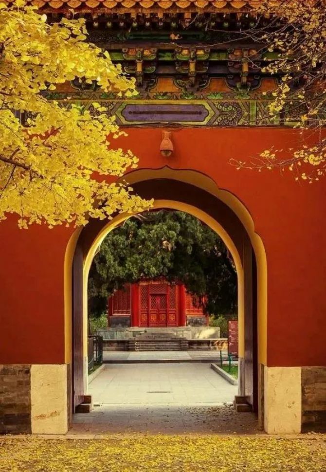 �����ϰ����أ�ƽʱ����Ƿ�׷����أ�