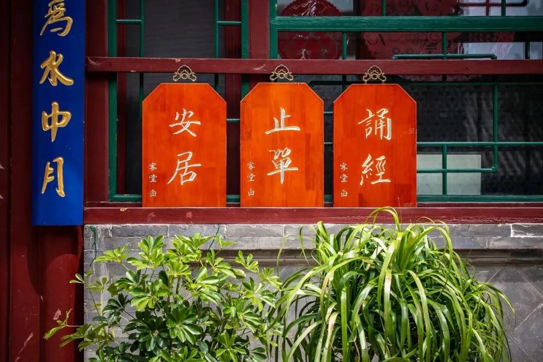 ����ʧ_���㻹������