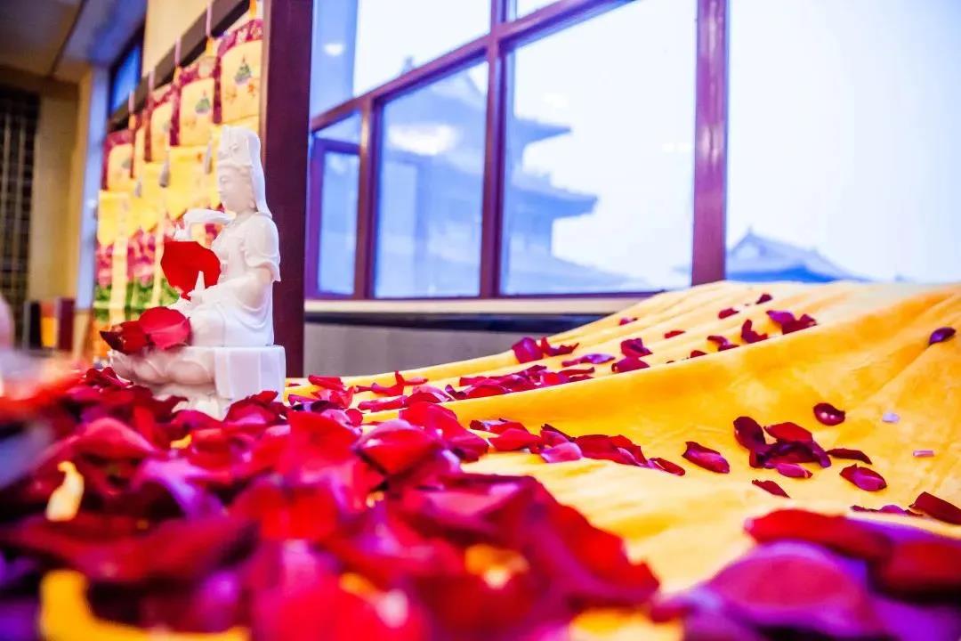 ����ʧ_���㻹������