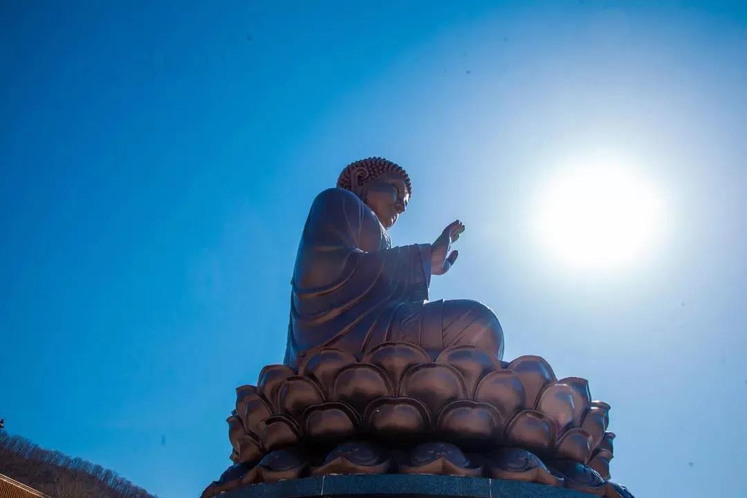 ��δ��һ�Ĳ��ң����Բ�������������仰���˶��������