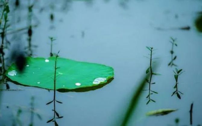 �����е��ˣ����κ�һ���ط����ܹ�����