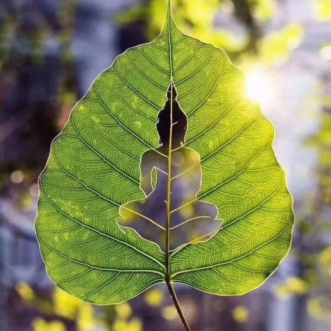 Ϊʲô�о������㡢���ȵȻ�ı����ǵ������أ�