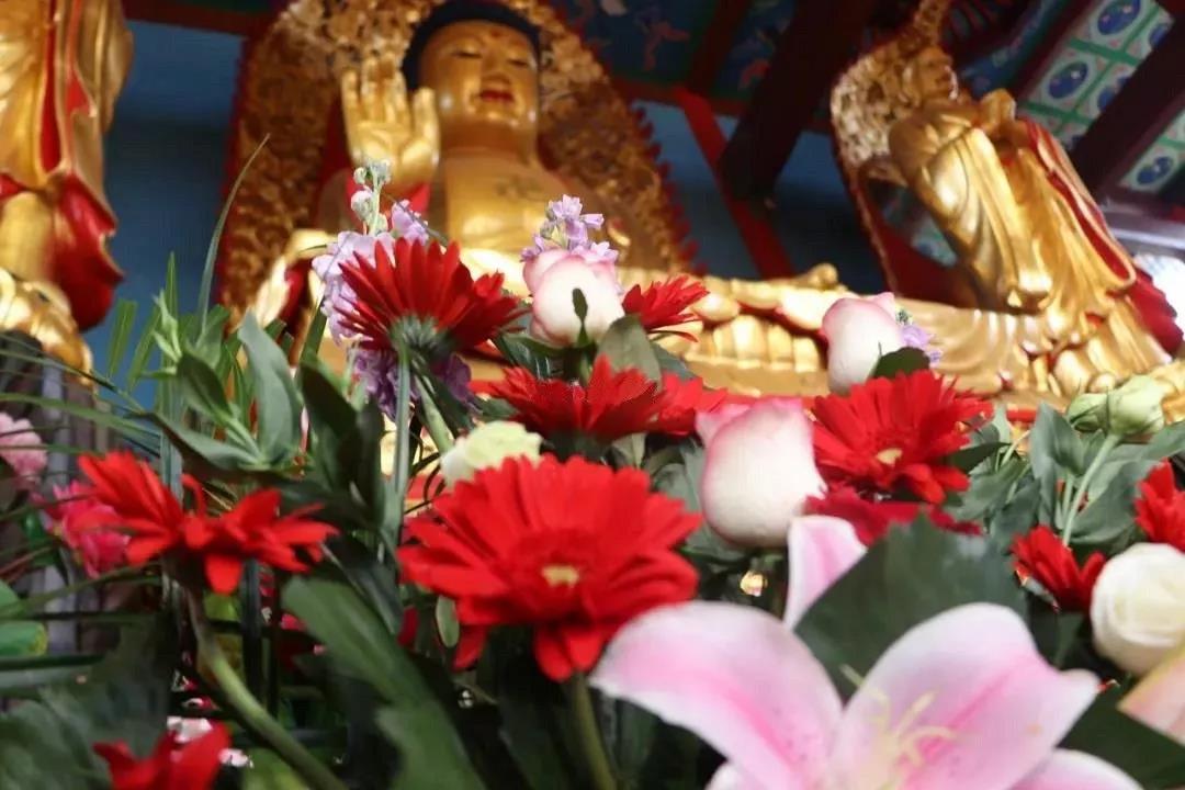 ѧѧ��̵ļ�ͥ�ۣ����˺�����ͥ������