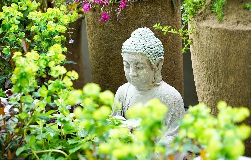 什么是真正的大福德? 什么是真正的大福德?