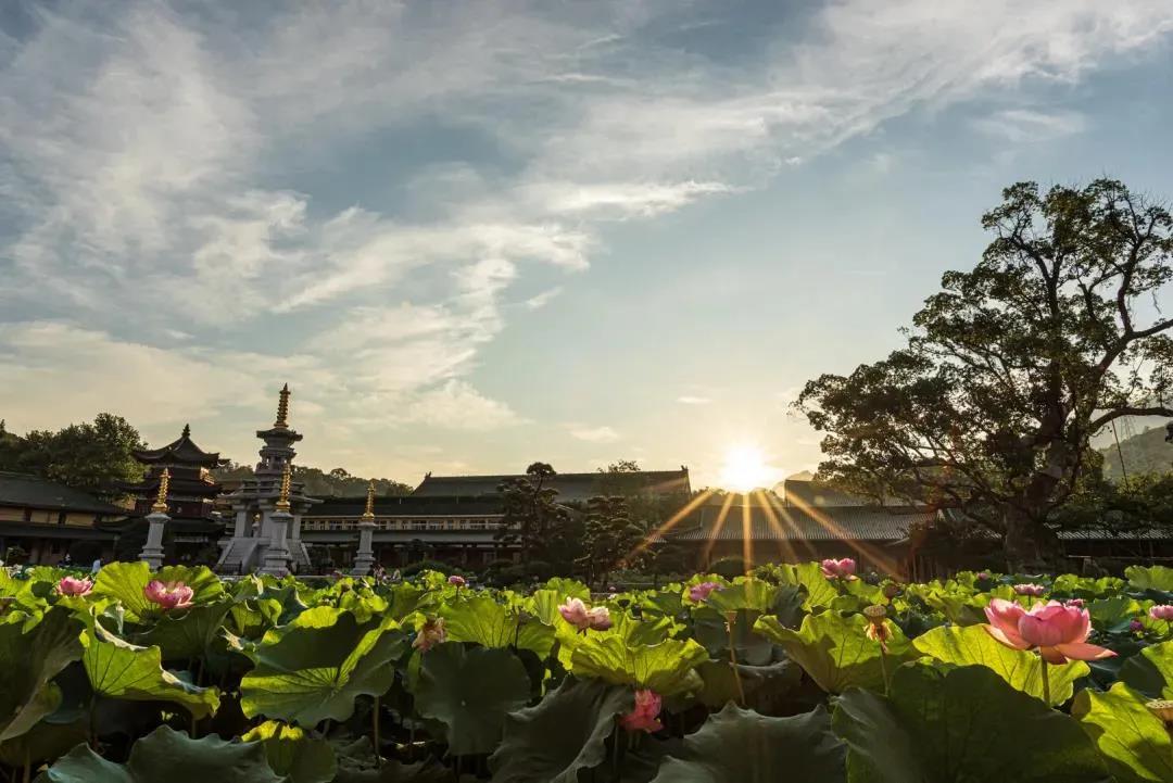 什么是真正的大福德? 什么是真正的大福德?