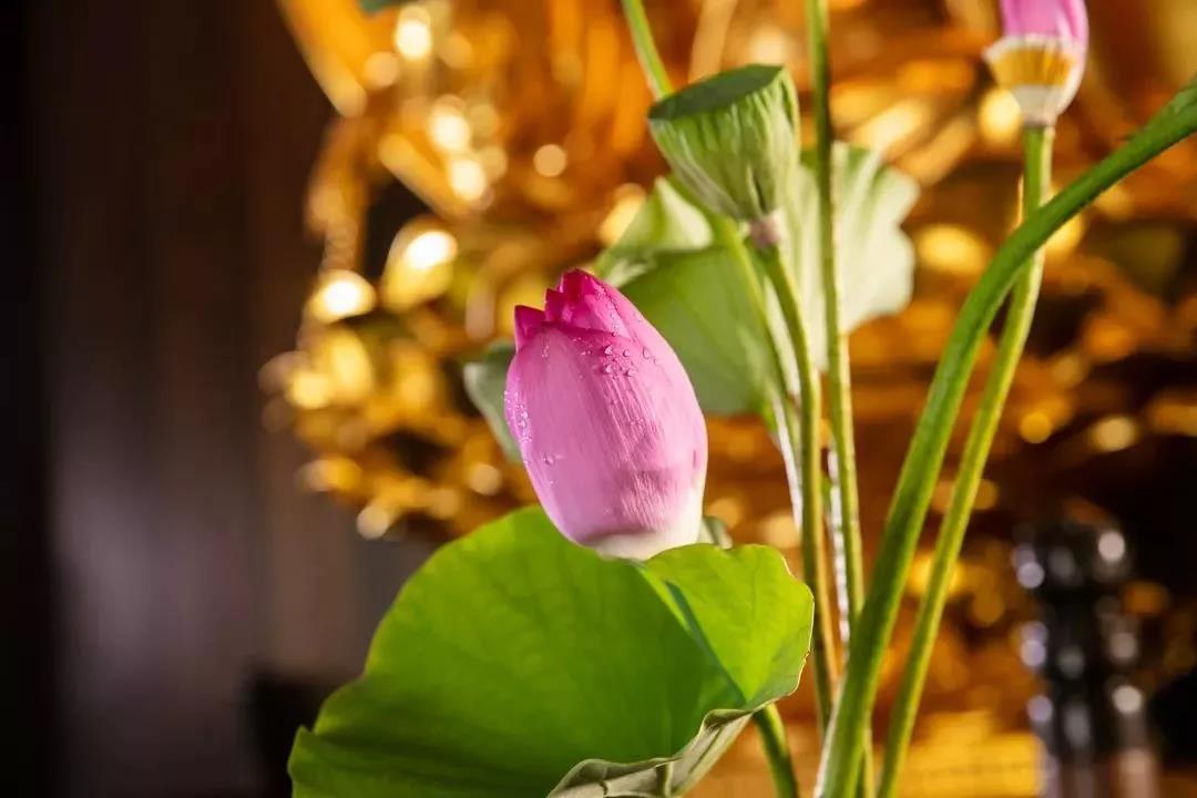 Ϊ����Щ����ò��ȴ��һ���и�����