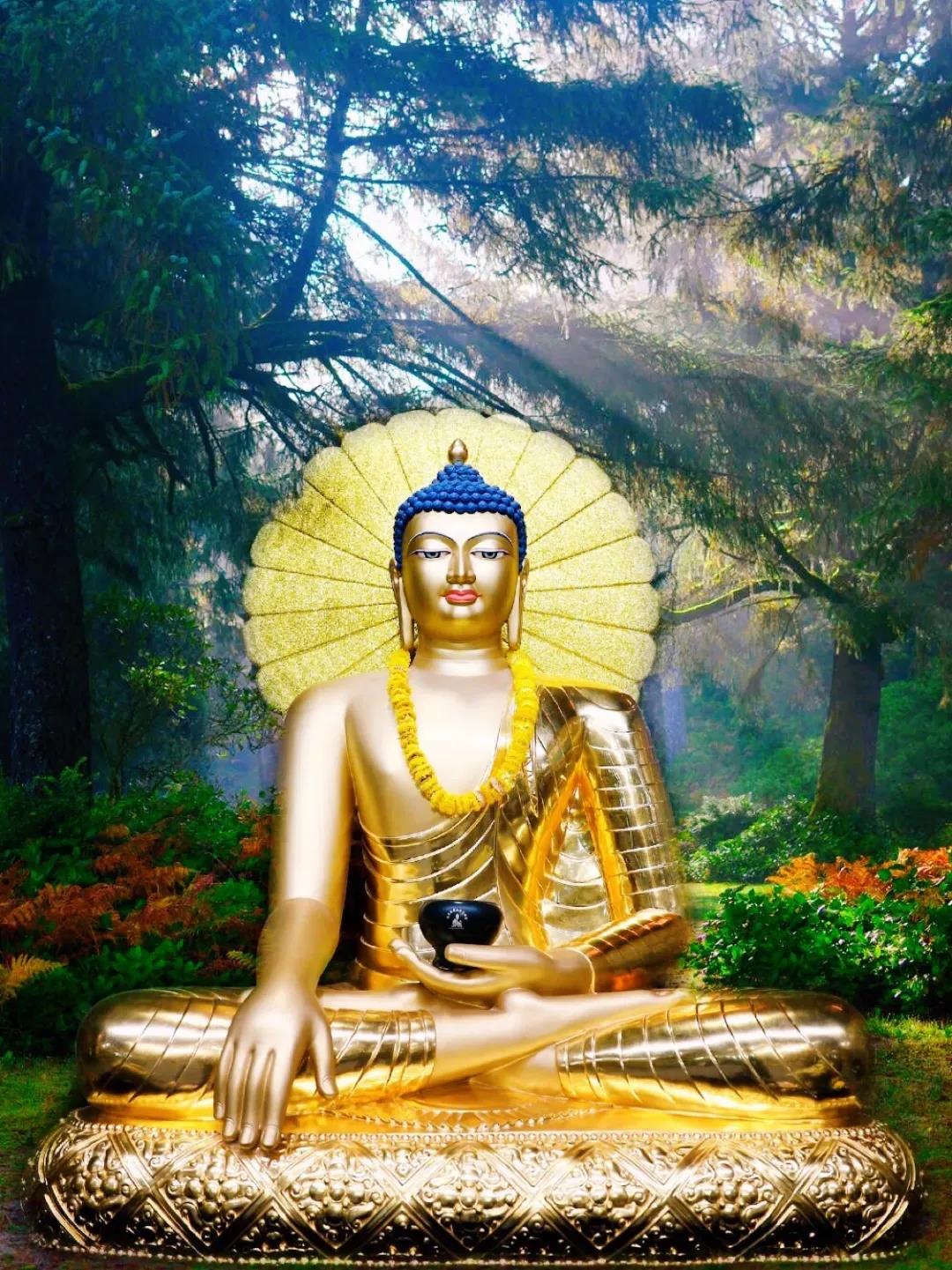 ���������ۣ��϶����ң��������ң���������