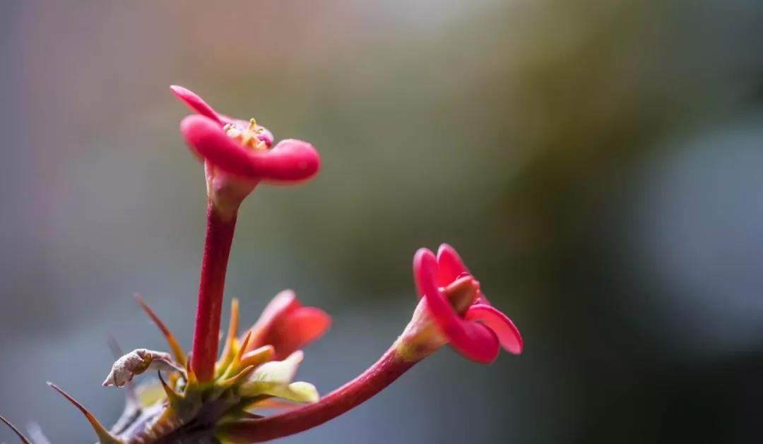 �������������Ӧ����β������Լ�����֮Ը�ٳɣ�