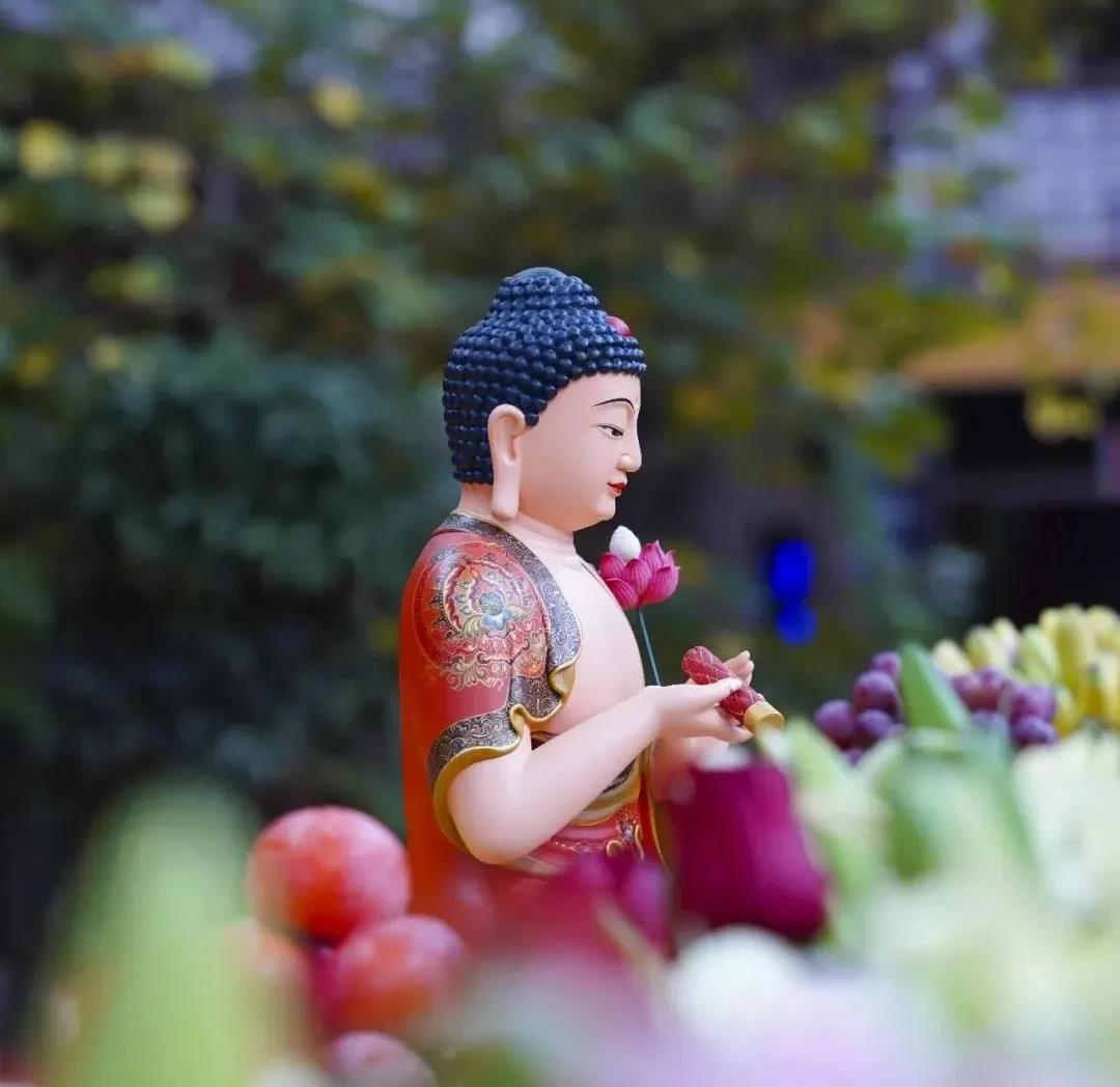 ӡ�ⷨʦ����ʥ�ͷ���֮���������У����˸���