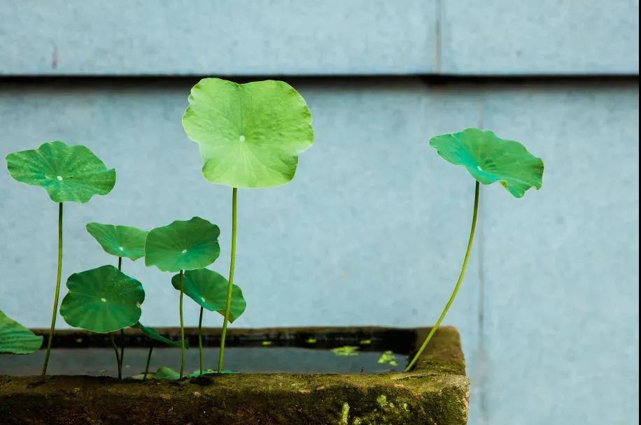 ����������������л��������˵�