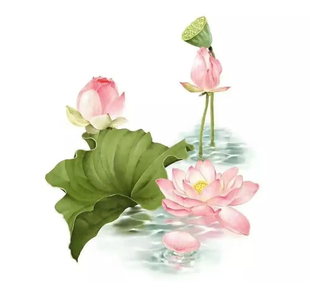 ����ˣ����Ƿ��кܶ��ʺţ����ش�ʦ�����