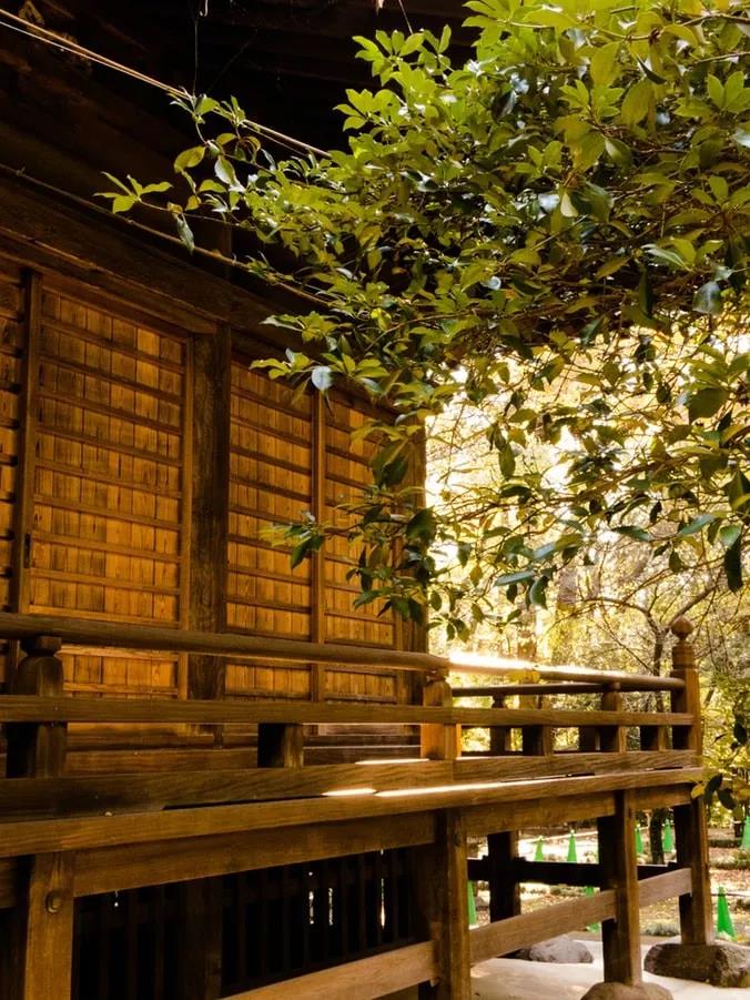 ������ҽ���Ĳ����Σ����ž���ġ���ҩ�����޲�����