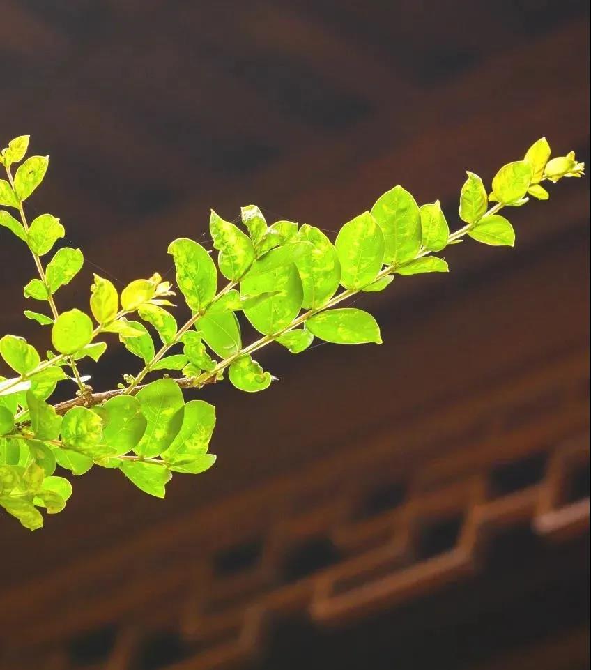 如何能不见别人的是非、善恶、过患? 如何能不见别人的是非、善恶、过患?