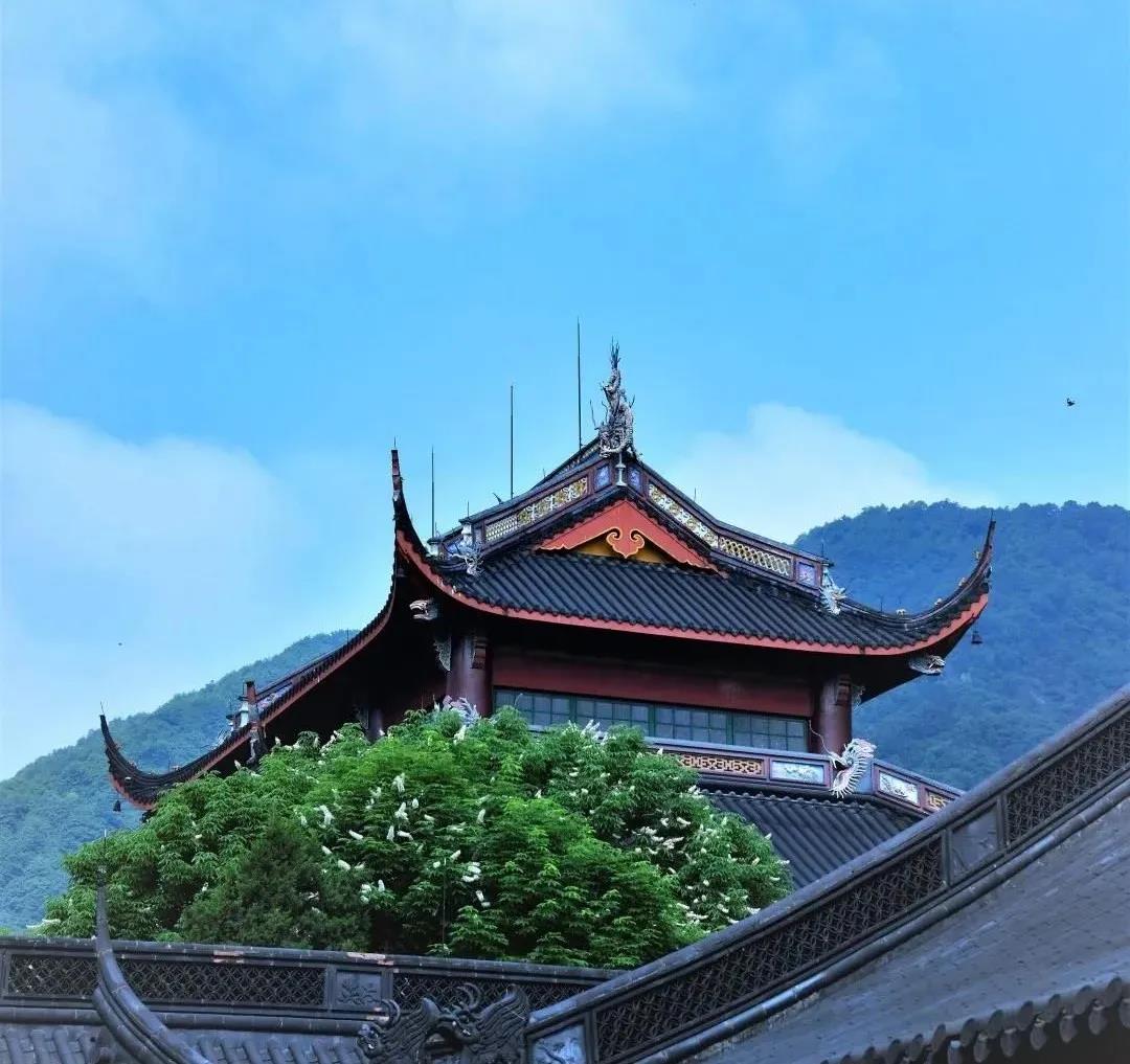 为什么今天开悟的人少,古人一碰就开悟 为什么今天开悟的人少,古人一碰就开悟