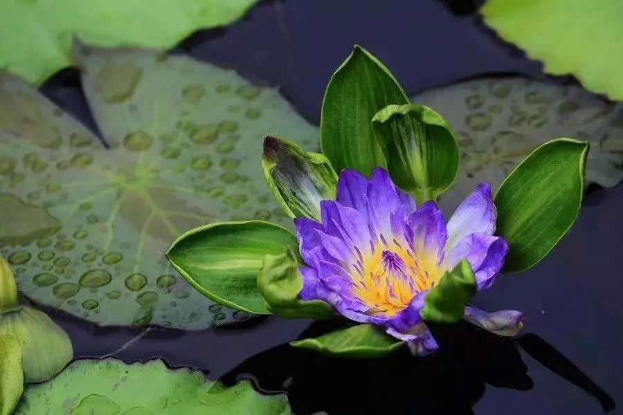 ʮ��ѧ��·���ı����ҵ�������