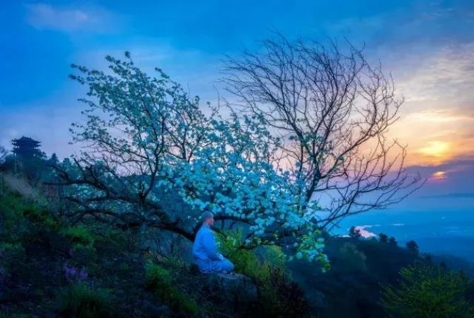 无常观很深的人,才会老实念佛! 无常观很深的人,才会老实念佛!