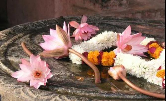 ���ˡ����ˡ����ˣ����ˣ���ôһ���ö�û����?