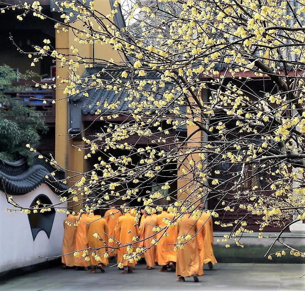 往生没捷径,只有靠熏习熏转 往生没捷径,只有靠熏习熏转