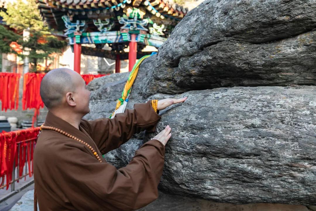 ��̨ɽΪʲô������ɽ������ʦ����̨ɽ�Ĺ���