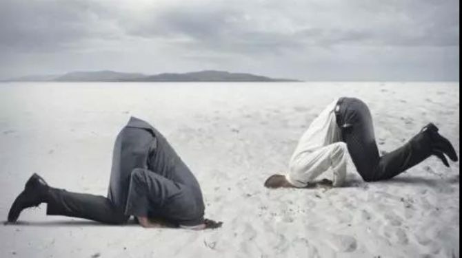 ���ľ�����̣����߱�ǿ����������ƹ��ܣ�