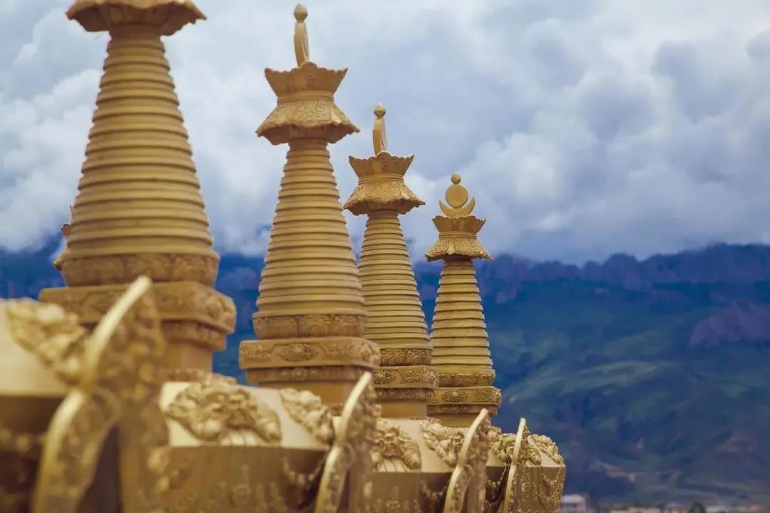 ѧ�����������������Ϊ��������