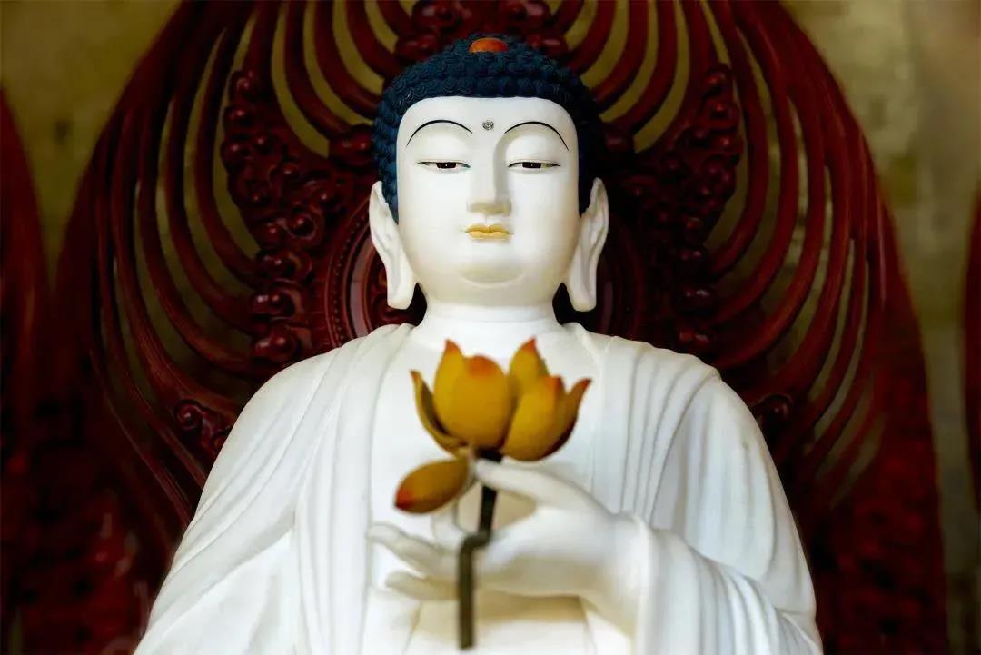 生病时念佛,会把人念走吗?有哪些禁忌?来了解一下 生病时念佛,会把人念走吗?有哪些禁忌?来了解一下