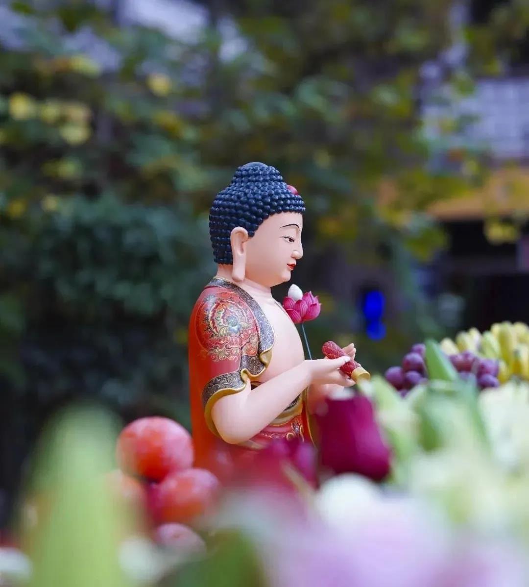 烦恼太多,心如何安定? 烦恼太多,心如何安定?