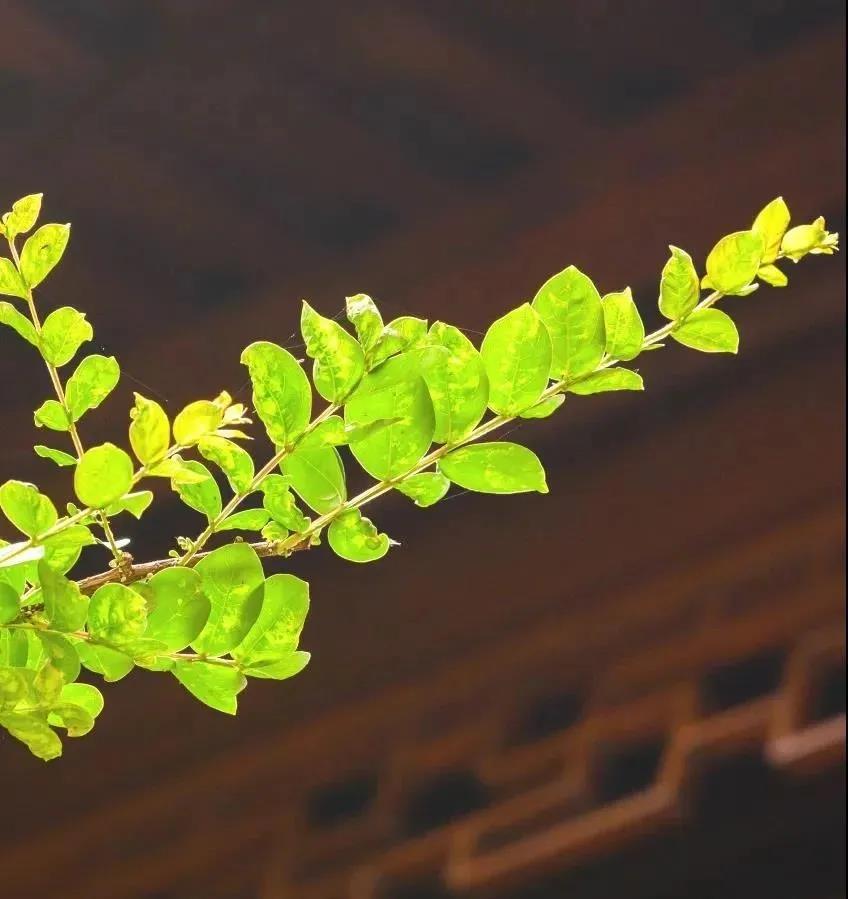 烦恼太多,心如何安定? 烦恼太多,心如何安定?