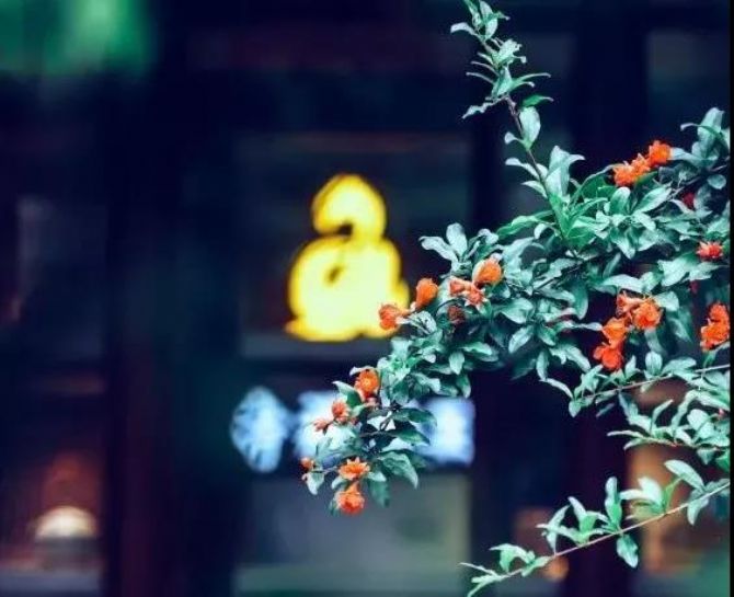 �Ƹ��������ж�����պ���������ȫ�����ˣ�