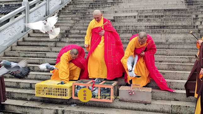 ���գ���������������������ڷ������ޣ���ϲ�μӣ�